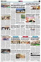 page11