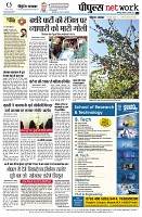 page12