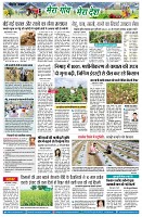 page7