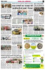 page5