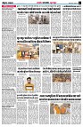 page5