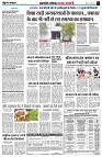 page5