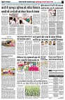 page5