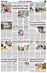 page5