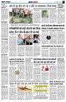 page5