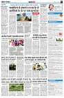 page8