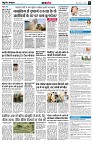 page8